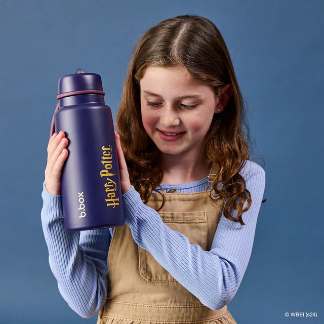 1L Insulated Flip Top Bottle (Harry Potter)