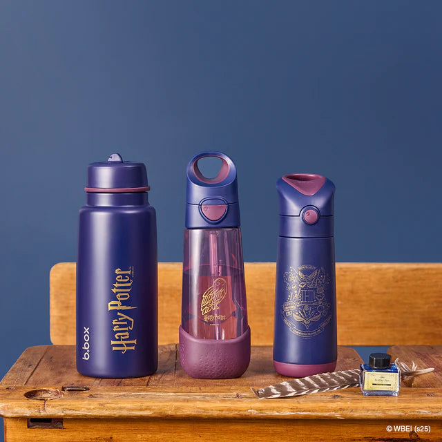 500ml Insulated Drink Bottle (Harry Potter)