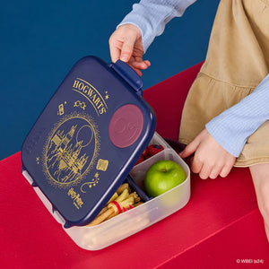 Bento Lunchbox (Harry Potter)