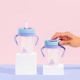Weighted Straw Sippy Cup Two Pack (Blue/Purple)