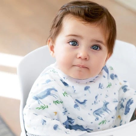 Organic Burpy Bibs 2 Pack - Outdoors