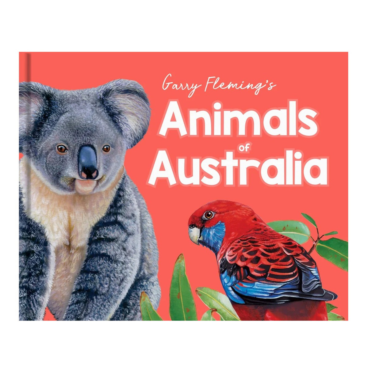 Discover The Animals Of Australia