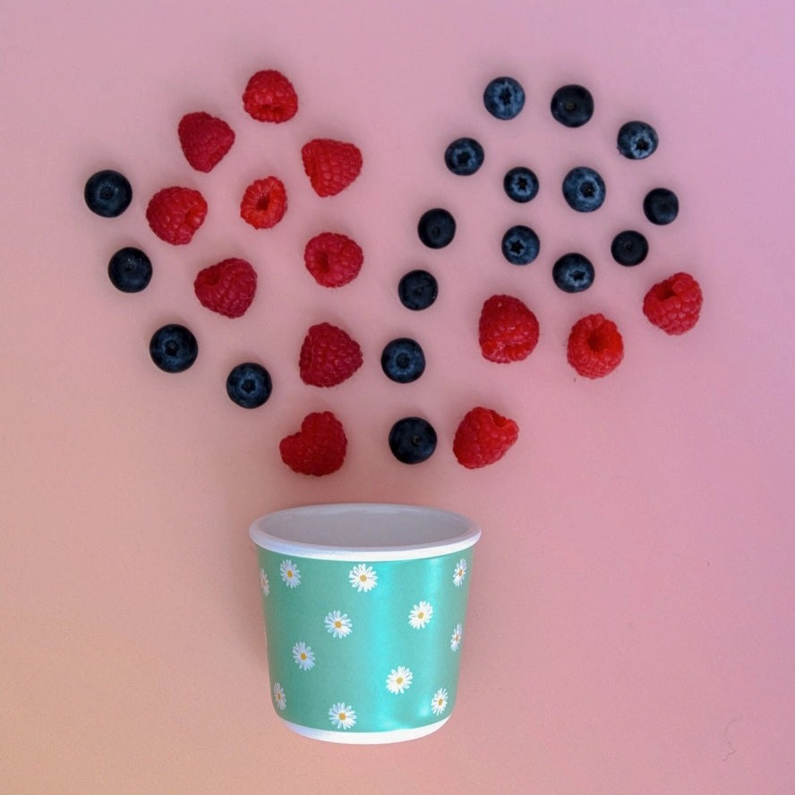 Daisy Snack Pot (220ml)