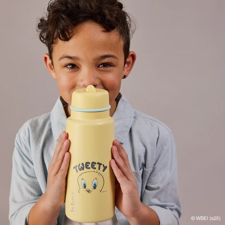 Insulated Flip Top Drink Bottle 1L (Looney Tunes)