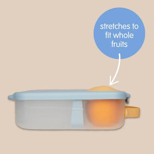 Bento Lunchbox (Sugar Plum)