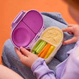 Snackbox (Sugar Plum)