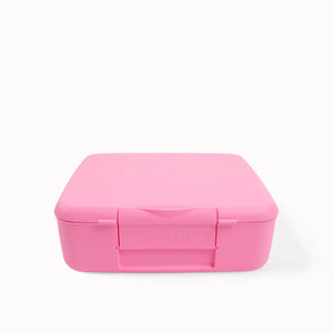 Bento Feast Lunch Box (Floss)