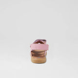 KP Strand (Lilac)