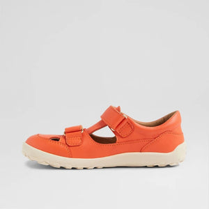 KP Troop (Tangerine)