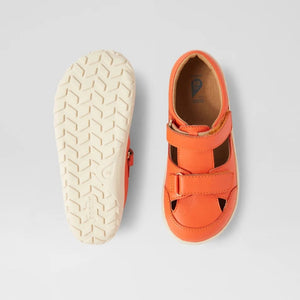 KP Troop (Tangerine)