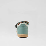 IW Driftwood (Iceberg Green)