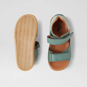 IW Driftwood (Iceberg Green)