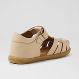 IW Harbor (Taupe)