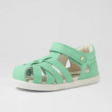 IW Tropicana II (Jelly Mint)