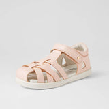 KP Tropicana (Seashell Shimmer)