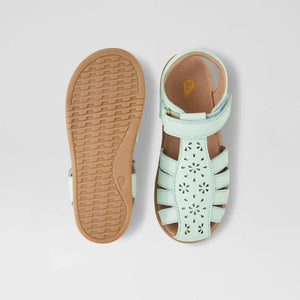 KP Chelsea (Birds Egg)