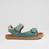 KP Driftwood (Iceberg Green)