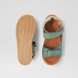 KP Driftwood (Iceberg Green)