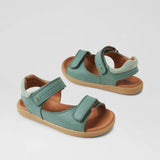 KP Driftwood (Iceberg Green)