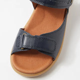 KP Driftwood (Navy)
