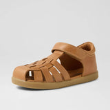 KP Harbor (Caramel)