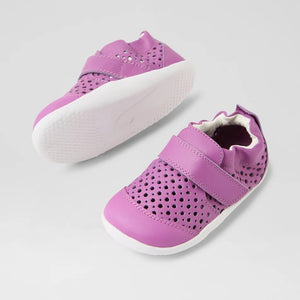 XP Go Punch (Orchid)