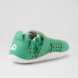 XP Go Punch (Winter Green)
