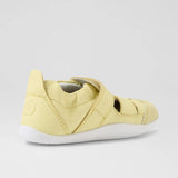 XP Maris (Wax Yellow)