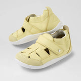 XP Maris (Wax Yellow)