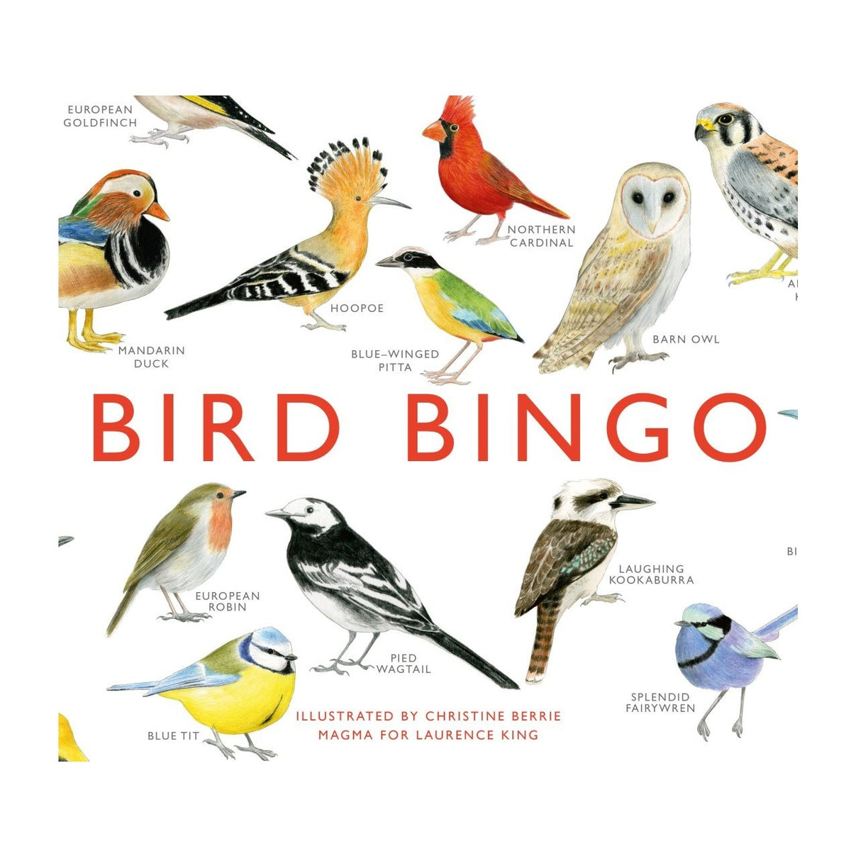 Bird Bingo
