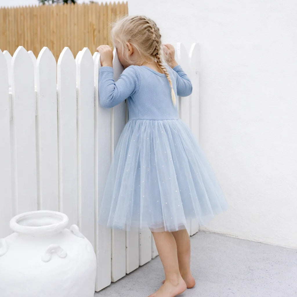 Dusty Blue Dots Long Sleeve Tulle Dress