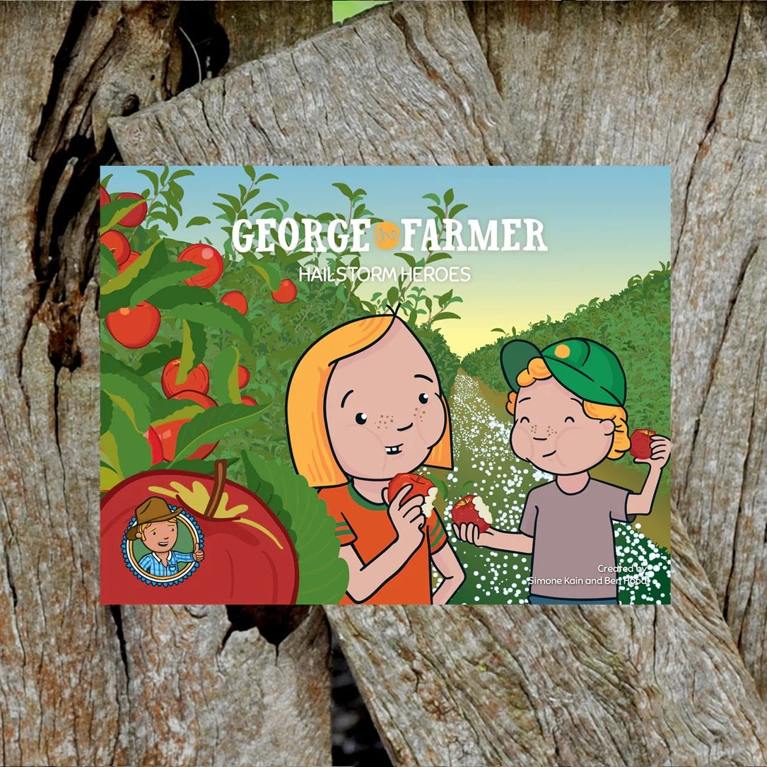 Slide image