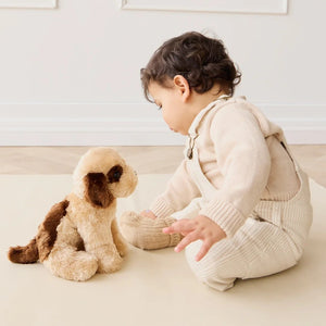 Coco The Shih Tzu -Snuggle Bunny