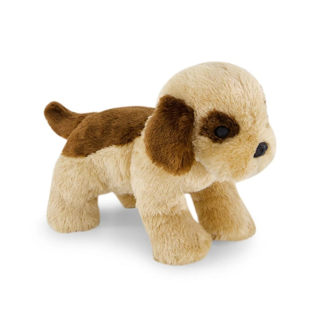 Coco The Shih Tzu -Snuggle Bunny