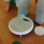Slide image