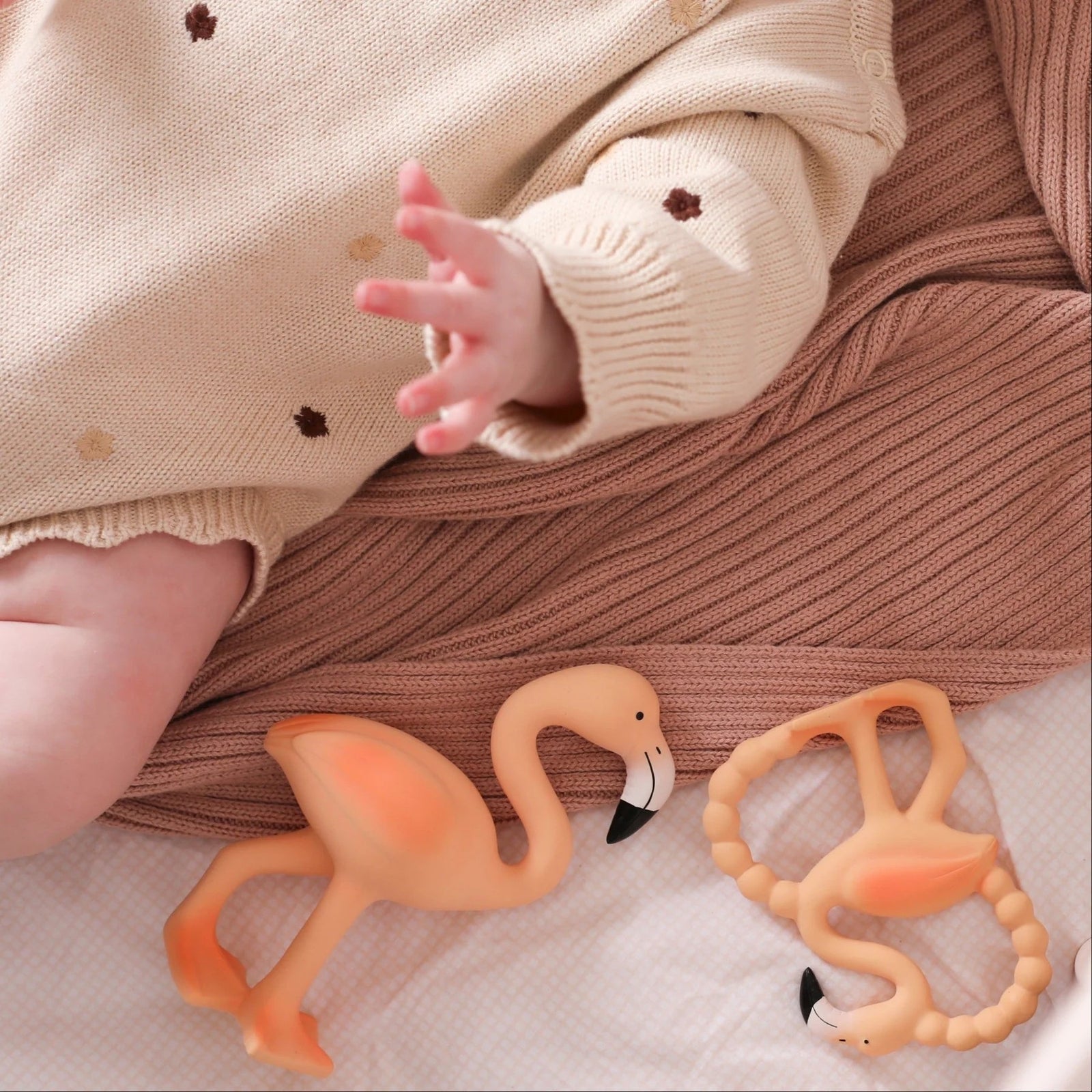 Lingo Flock Together Set