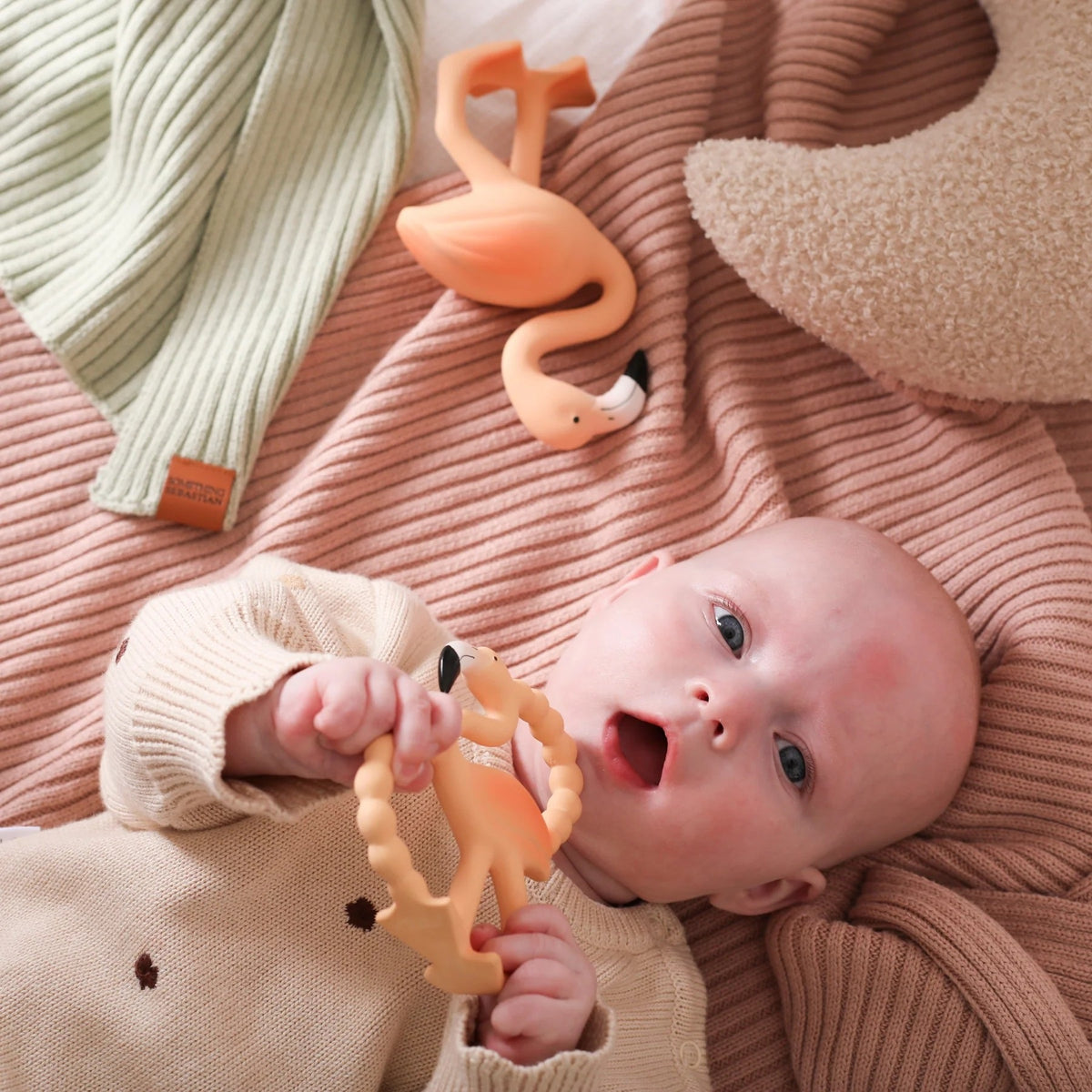 Lingo Flock Together Set