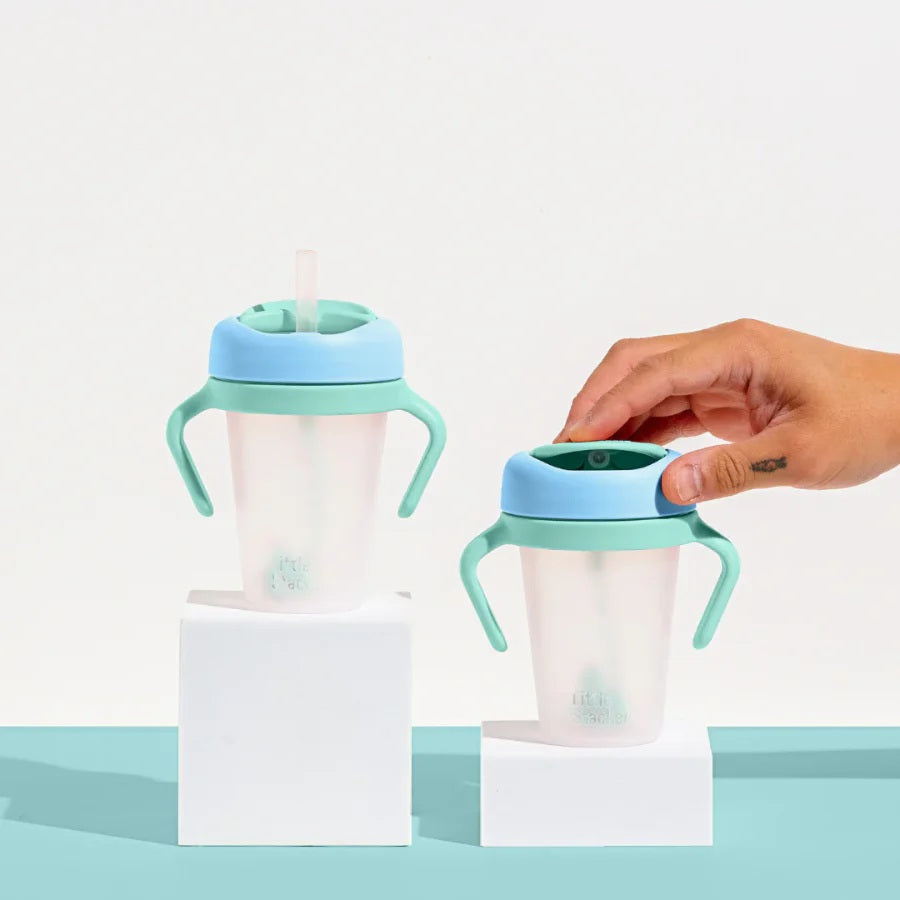 Weighted Straw Sippy Cup Two Pack (Blue/Aqua)