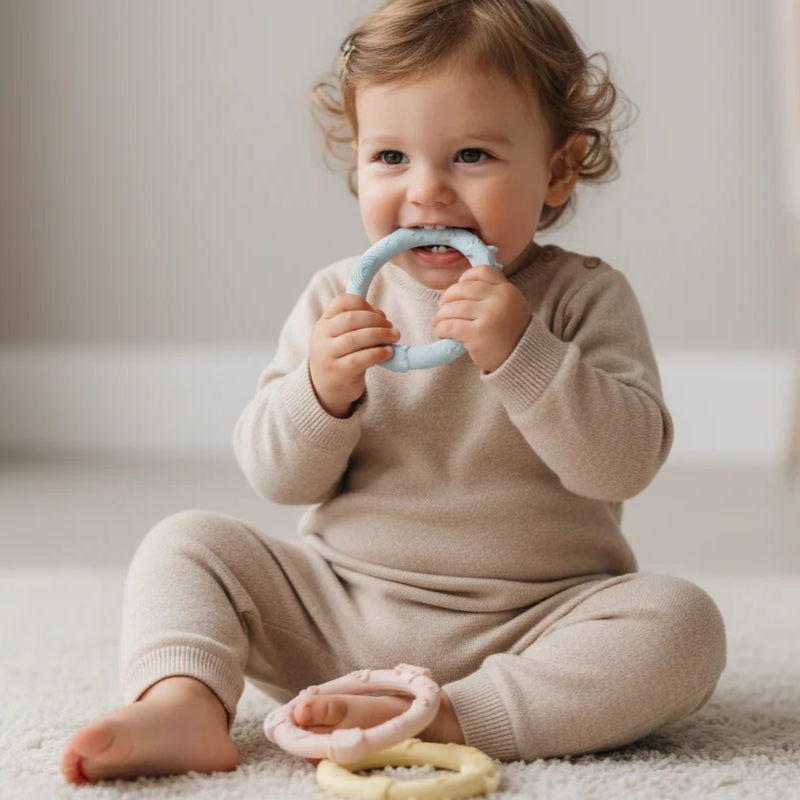 Wild Teether Ring Set (Pastel)