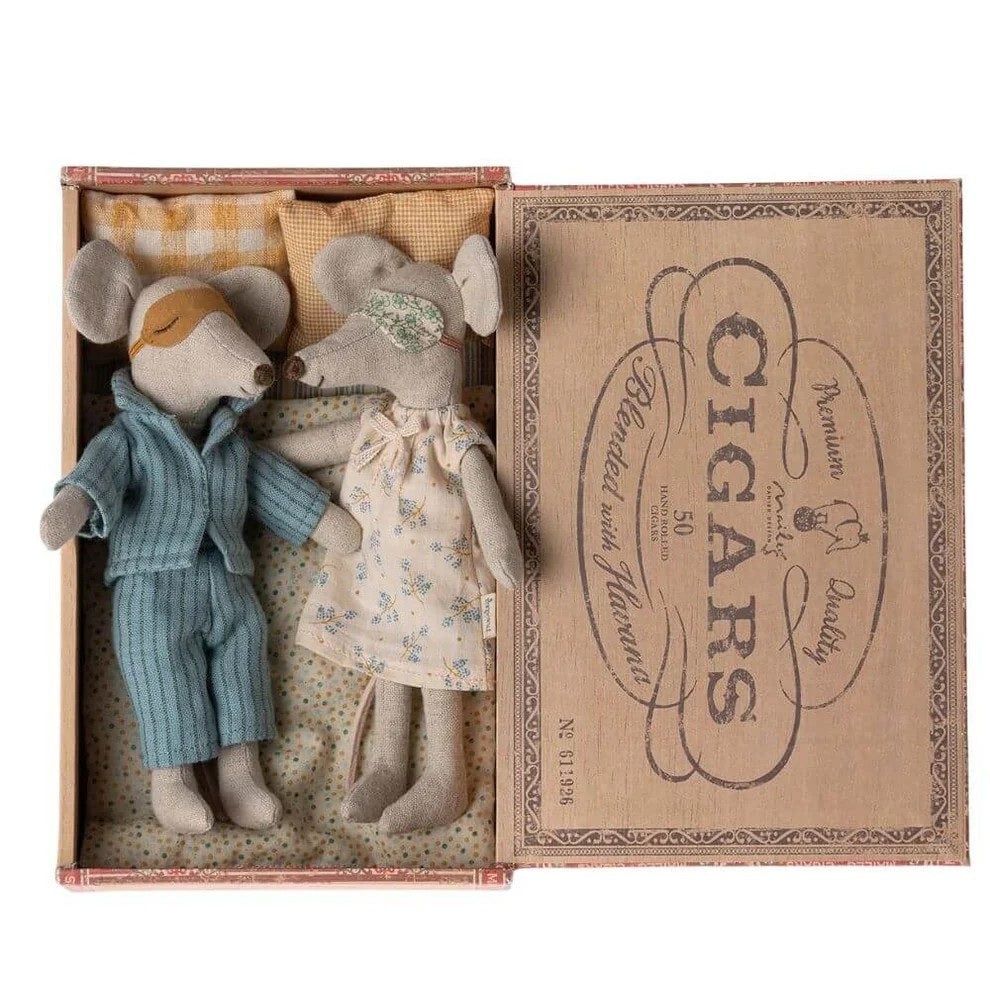 Mum And Dad Mice In Box