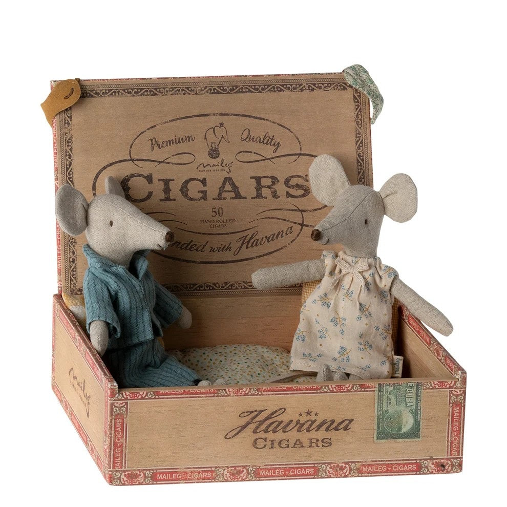 Mum And Dad Mice In Box