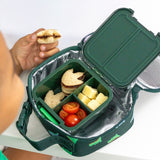 Bento Two Lunch Box (Dinosaur)