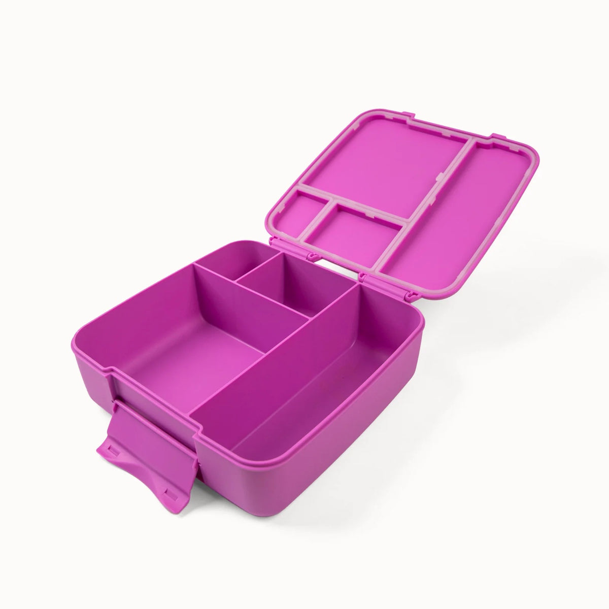 Bento Feast Lunch Box (Fuchsia)