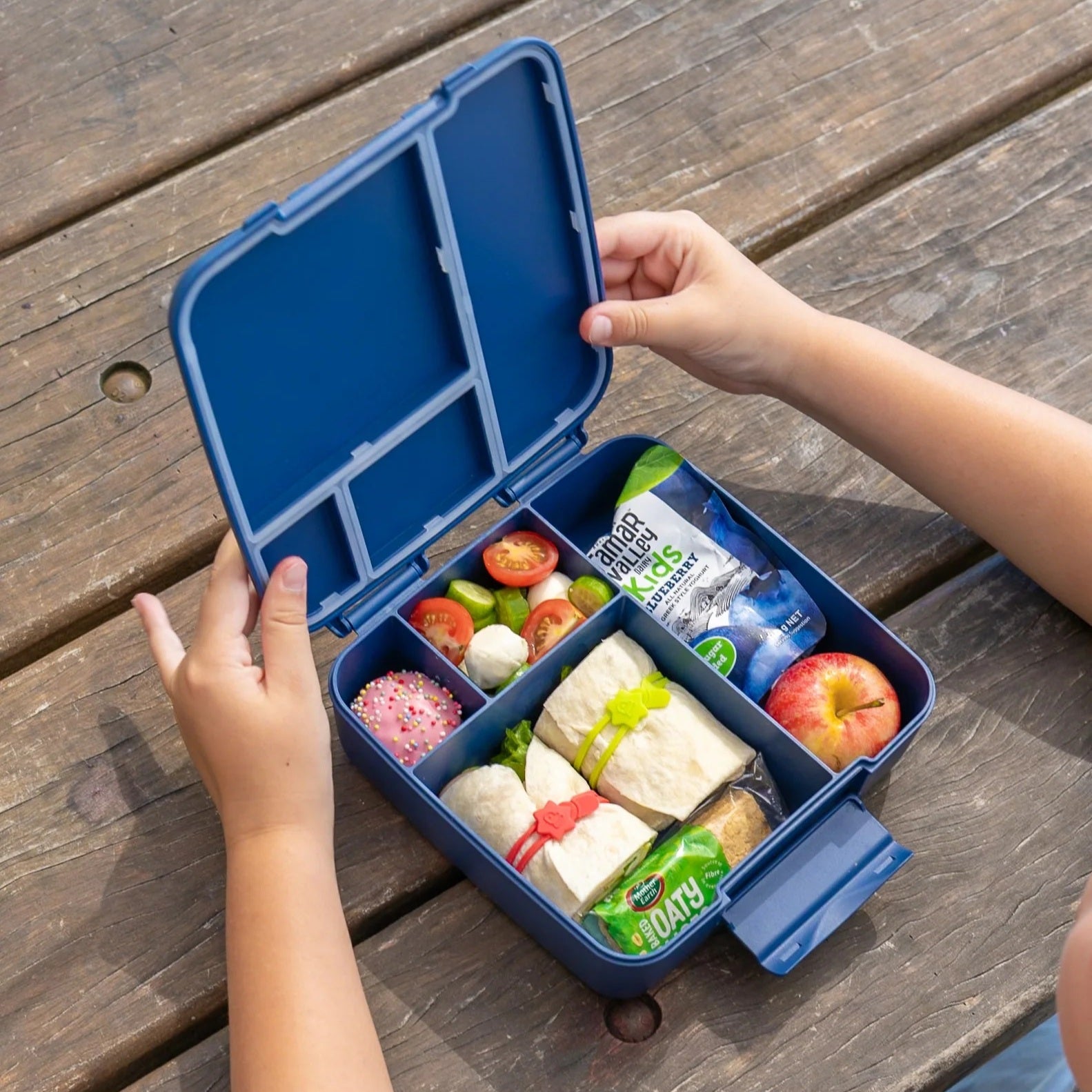 Bento Feast Lunch Box (Navy)