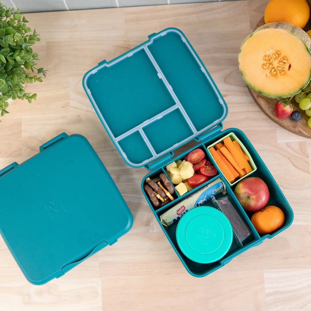 Bento Feast Lunch Box (Pine)