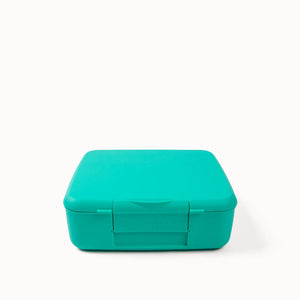 Bento Feast Lunch Box (Mojito)