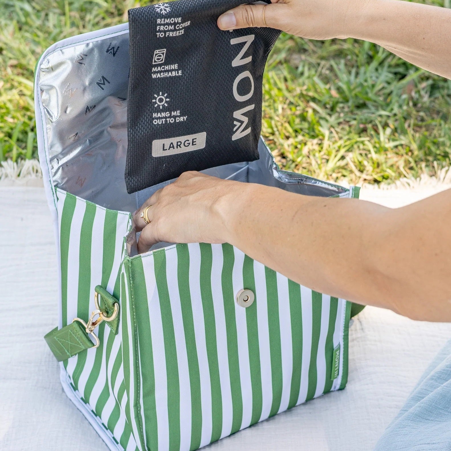 Insulated Lunch Carrier (Pickle Stripe)