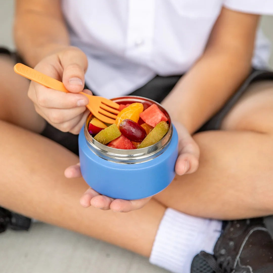 Mini Insulated Food Jar (Splash)