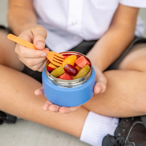 Mini Insulated Food Jar (Splash)