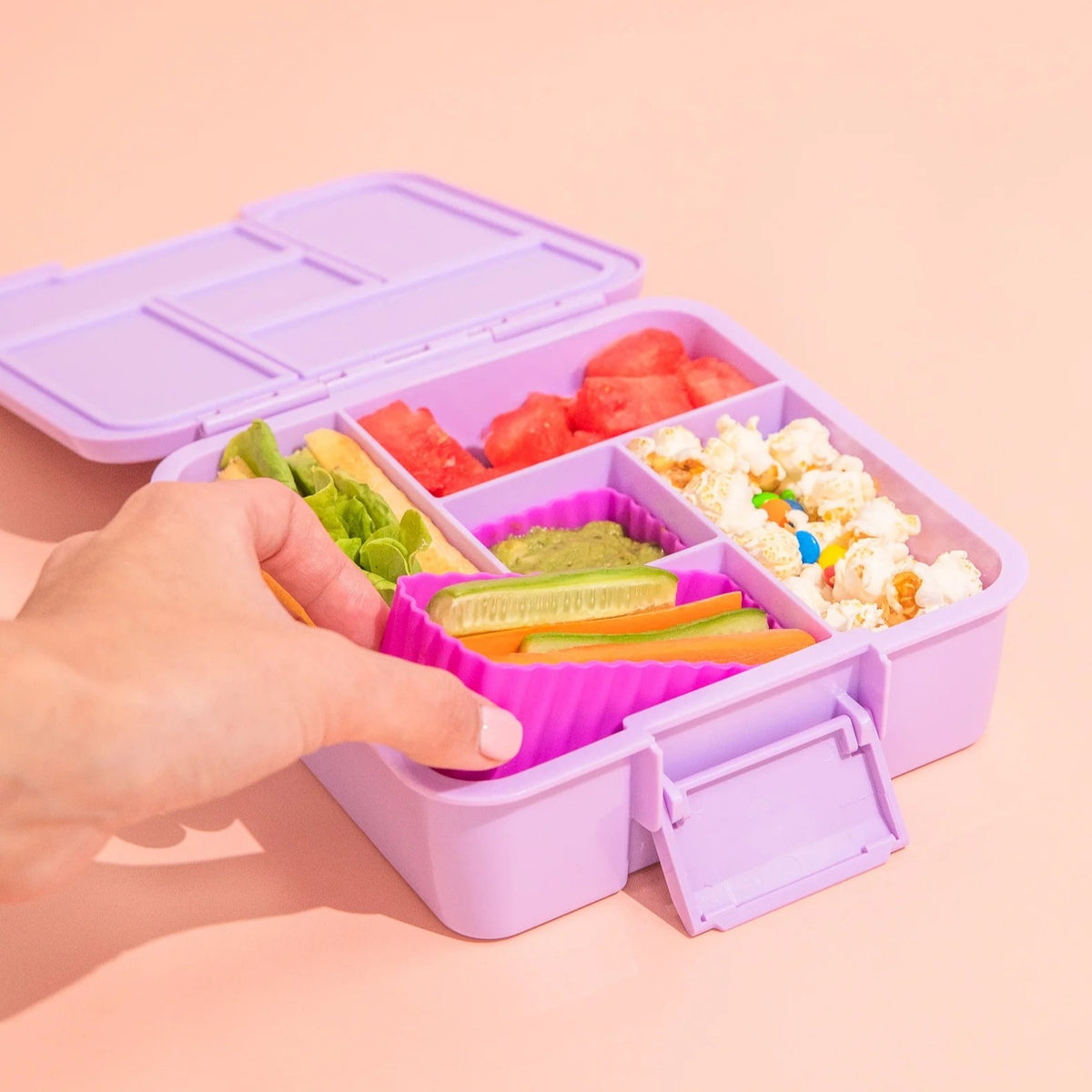 Mixed Bento Cups (Fuchsia)